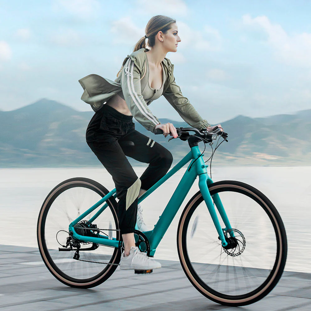 Miniatuur 3
